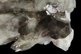 Unique, Smoky Quartz Crystal Cluster - Brazil #136170-5